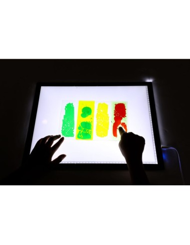 ALMOHADILLA LÍQUIDA