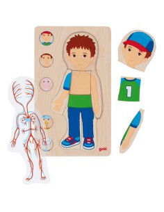Puzle capas cuerpo niño
