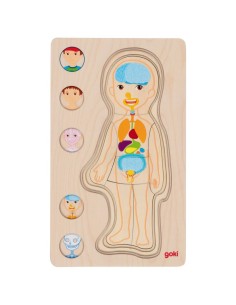 Puzle capas cuerpo niño 2