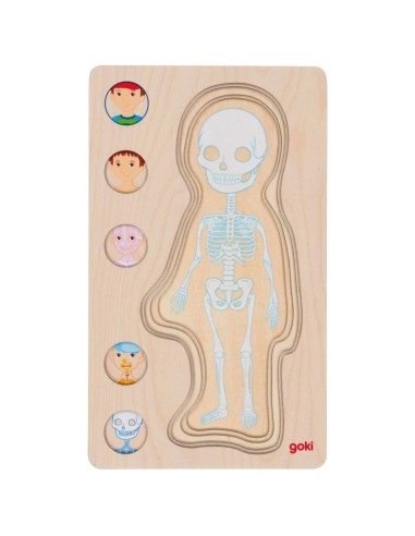 Puzle capas - Cuerpo de niño