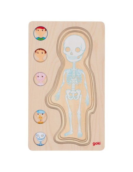 Puzle capas - Cuerpo de niño