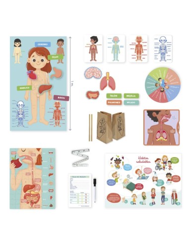 Aprendo en positivo  el cuerpo humano