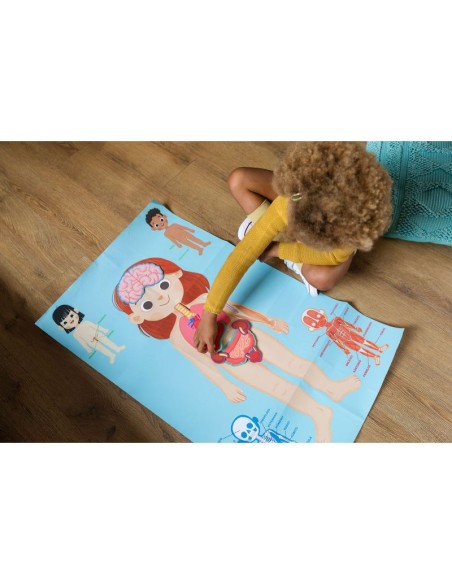 Aprendo en positivo  el cuerpo humano