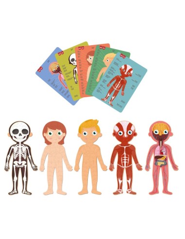 Puzle el cuerpo humano