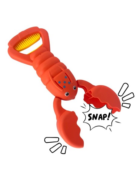 Pinzas arena langosta