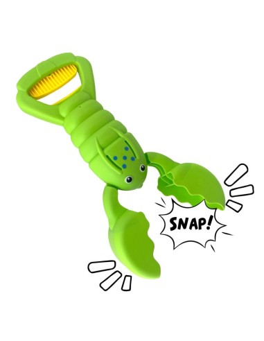 Pinzas arena langosta