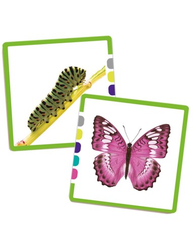 Asociación parejas