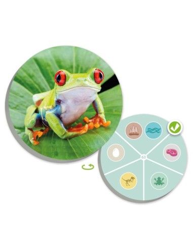 El mundo animal: Descubre y clasifica