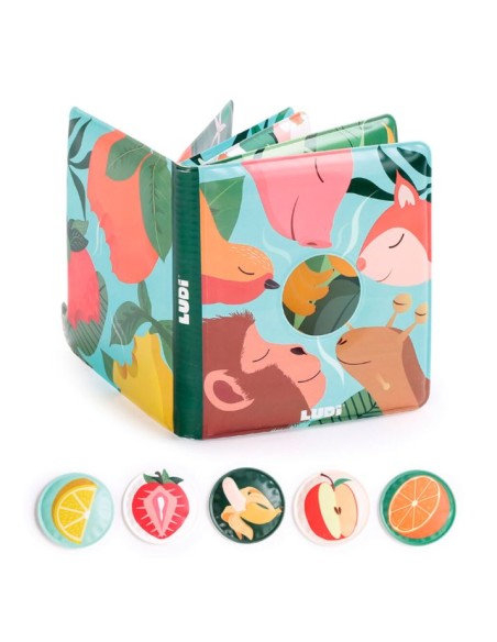 Libro de aromas