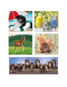 Puzle animal friends - 10 puzles 2