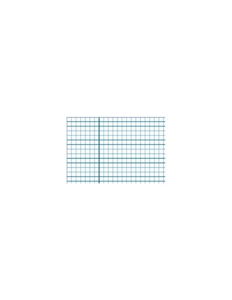 Bloc pautado folio: Cuadro 4mm. - 10 unidades