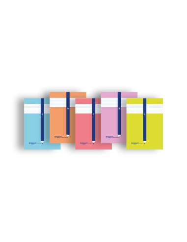 Cuaderno pautado A5: Cuadro 4mm. - 10 unidades