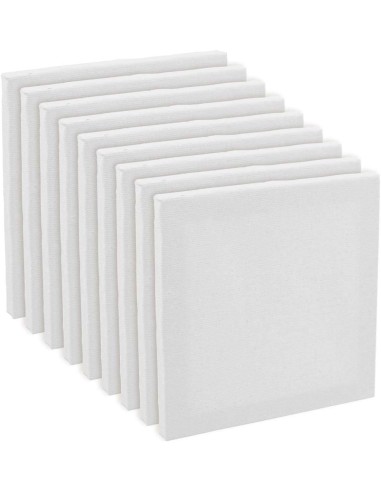Lienzos 20 x 20 cm. - 10 unidades