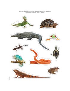 Gomets temáticos reptiles y anfibios - 12 hojas