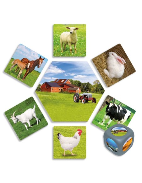¿Dónde viven los animales?
