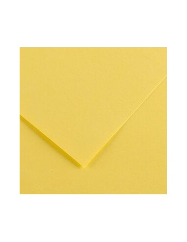 Cartulina pliego 25 unidades (50x65cm. -...