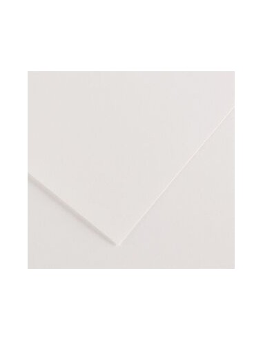 Cartulina pliego 25 unidades (50x65cm. -...