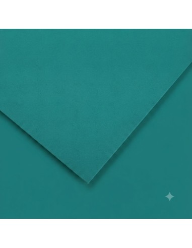 Cartulina pliego 25 unidades (50x65cm. -...