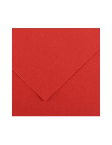 Cartulina pliego 25 unidades (50x65cm. -...