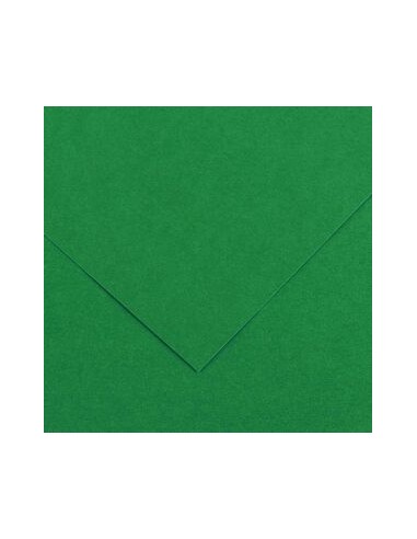 Cartulina pliego 25 unidades (50x65cm. -...