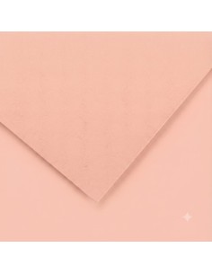 Cartulina pliego 50 unidades (DIN A4. - 185gr.) - Salmón...