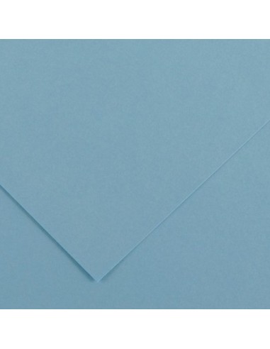 Cartulina pliego 10 unidades (50x65cm. -...