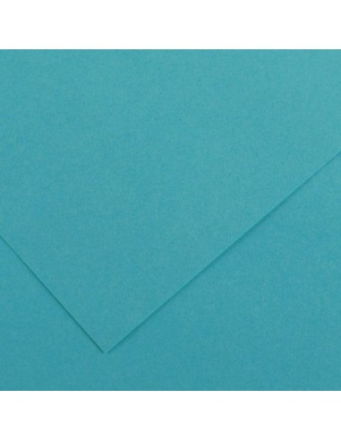 Cartulina pliego 10 unidades (50x65cm. -...