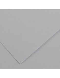 Cartulina pliego 10 unidades (50x65cm. - 185gr.) - Gris...