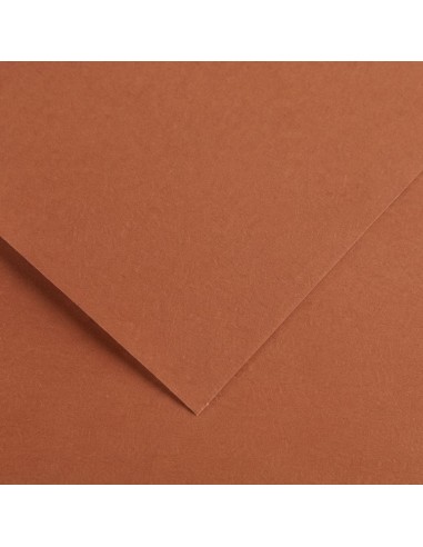 Cartulina pliego 10 unidades (50x65cm. -...