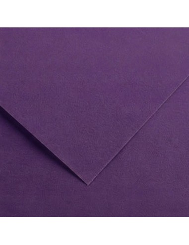 Cartulina pliego 10 unidades (50x65cm. -...
