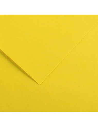 Cartulina pliego 125 unidades (50 x 65 cm. -...