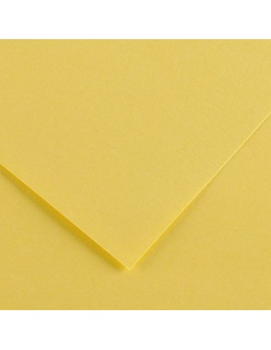 Cartulina pliego 125 unidades (50 x 65 cm. -...