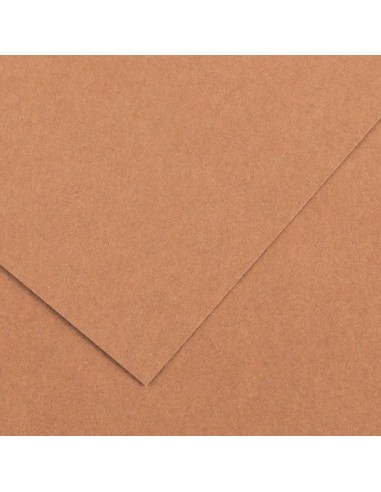 Cartulina pliego 125 unidades (50 x 65 cm. -...