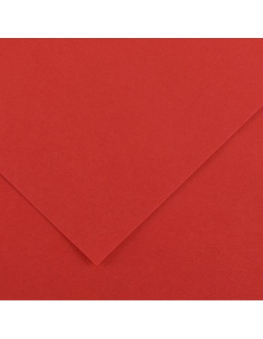 Cartulina pliego 125 unidades (50 x 65 cm. -...