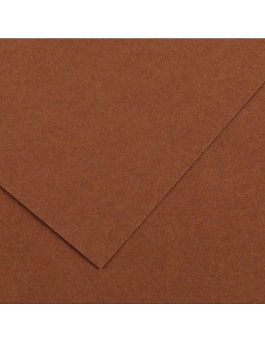 Cartulina pliego 25 unidades (50 x 65 cm. -...