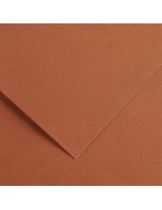 Cartulina pliego 25 unidades (50 x 65 cm. - 185gr.) -...
