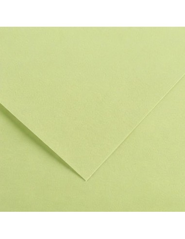Cartulina pliego 25 unidades (50 x 65 cm. -...