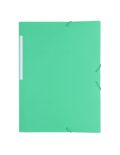 Carpeta opaca con gomas verde - 10 unidades