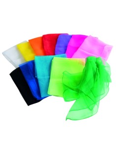 Pañuelos transparentes - 12 unidades