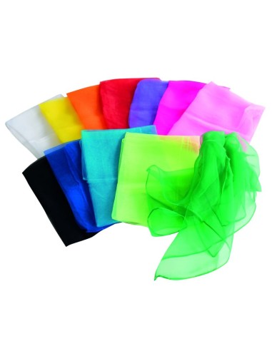 Pañuelos transparentes - 12 unidades