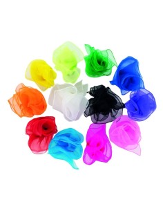 Pañuelos transparentes - 12 unidades 2