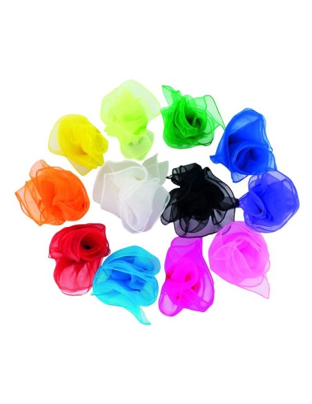 Pañuelos transparentes - 12 unidades