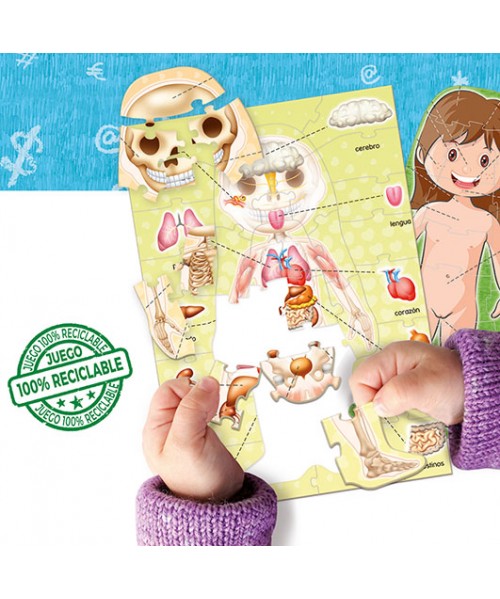 Aprender es divertido - El cuerpo humano 2