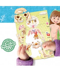 Aprender es divertido - El cuerpo humano