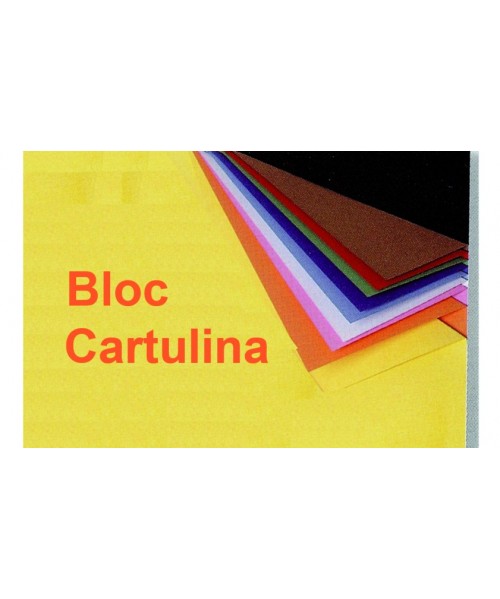Pack de 25 Blocs cartulinas 2