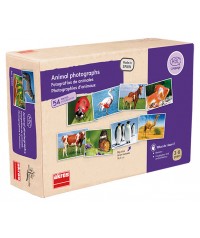 Fotografias de animales