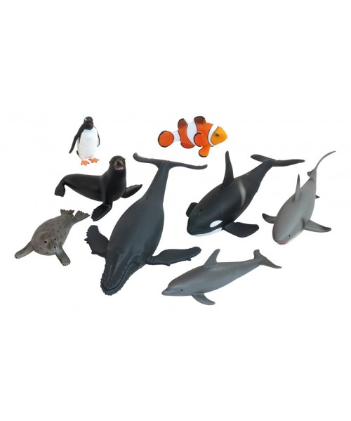 Animales oceano - 8 animales