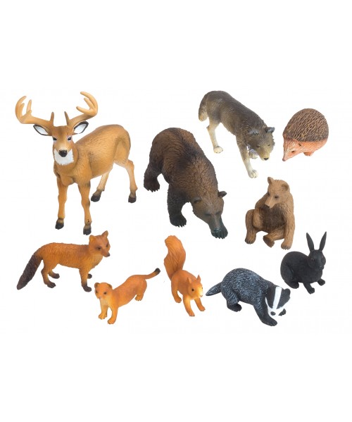 Animales bosque- 10 animales