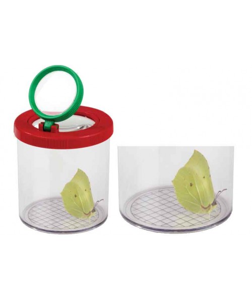 Tarro lupa 6 unidades