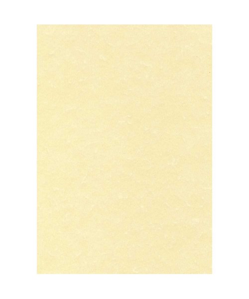 Papel pergamino A4 165 gr 2